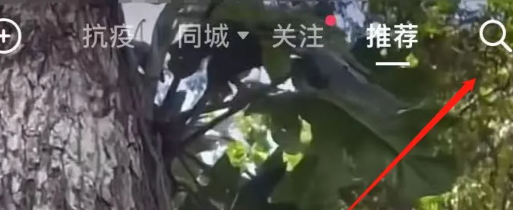 抖音等級(jí)怎么才能上升得快？