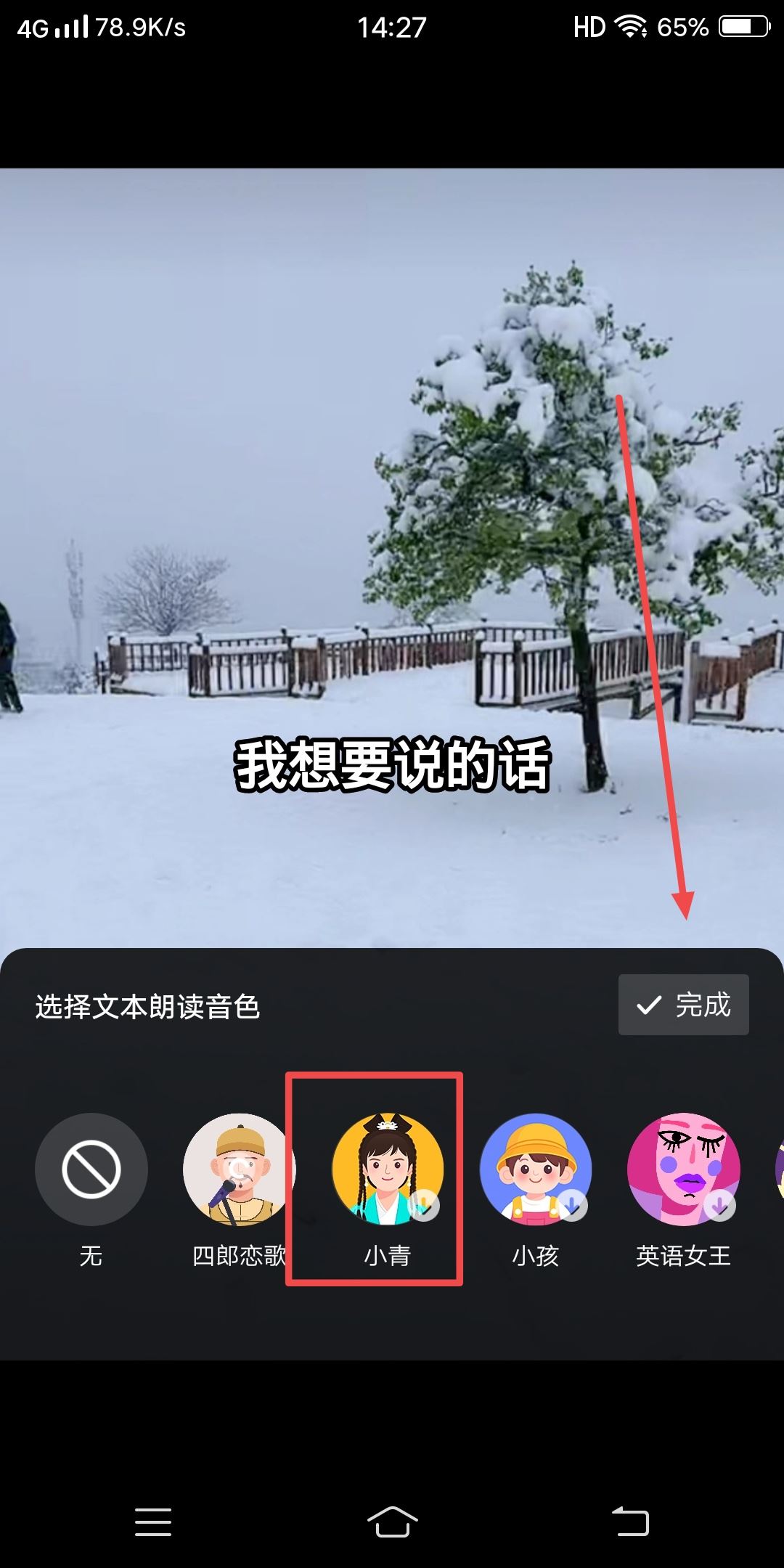 抖音發(fā)視頻怎么配自己想說的話？