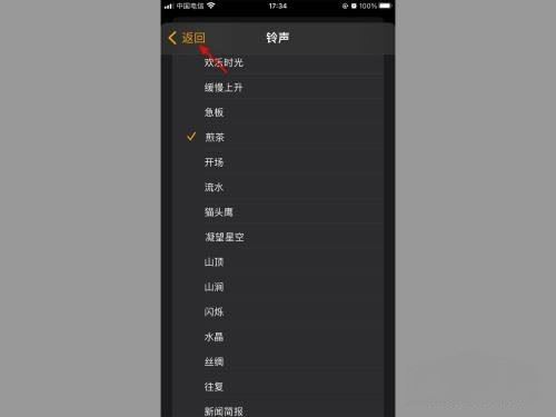 蘋果怎么設(shè)置抖音鬧鐘鈴聲？