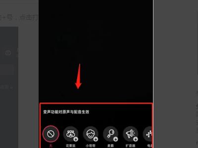 抖音特效的語音怎么弄？